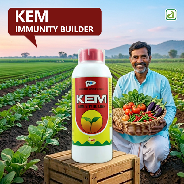 MBF Kem Insecticide