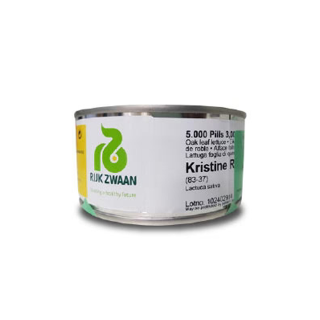 KRISTINE RZ (83-37) OAK LETTUCE