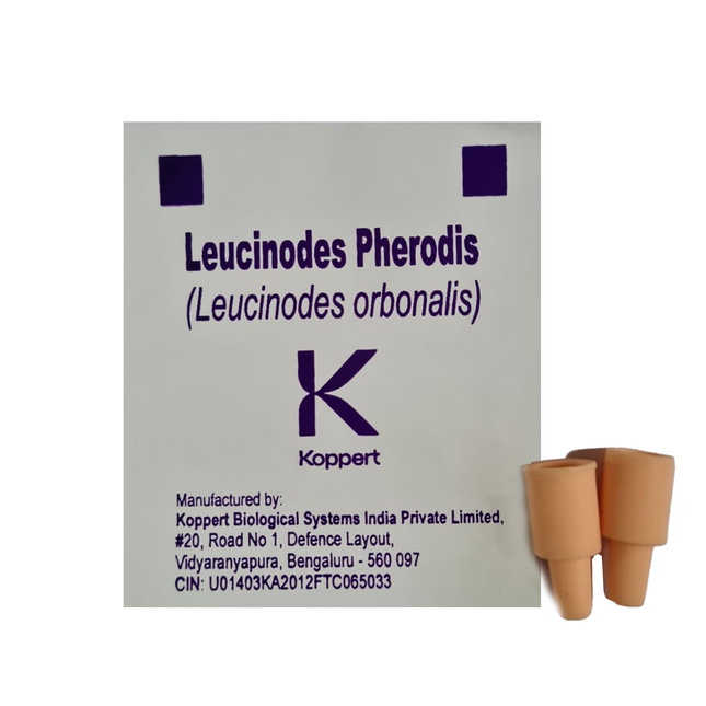 Koppert Leucinodes Pherodis