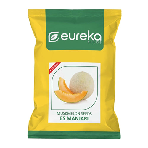 EUREKA MUSKMELON ES MANJARI F1 HYBRID SEEDS