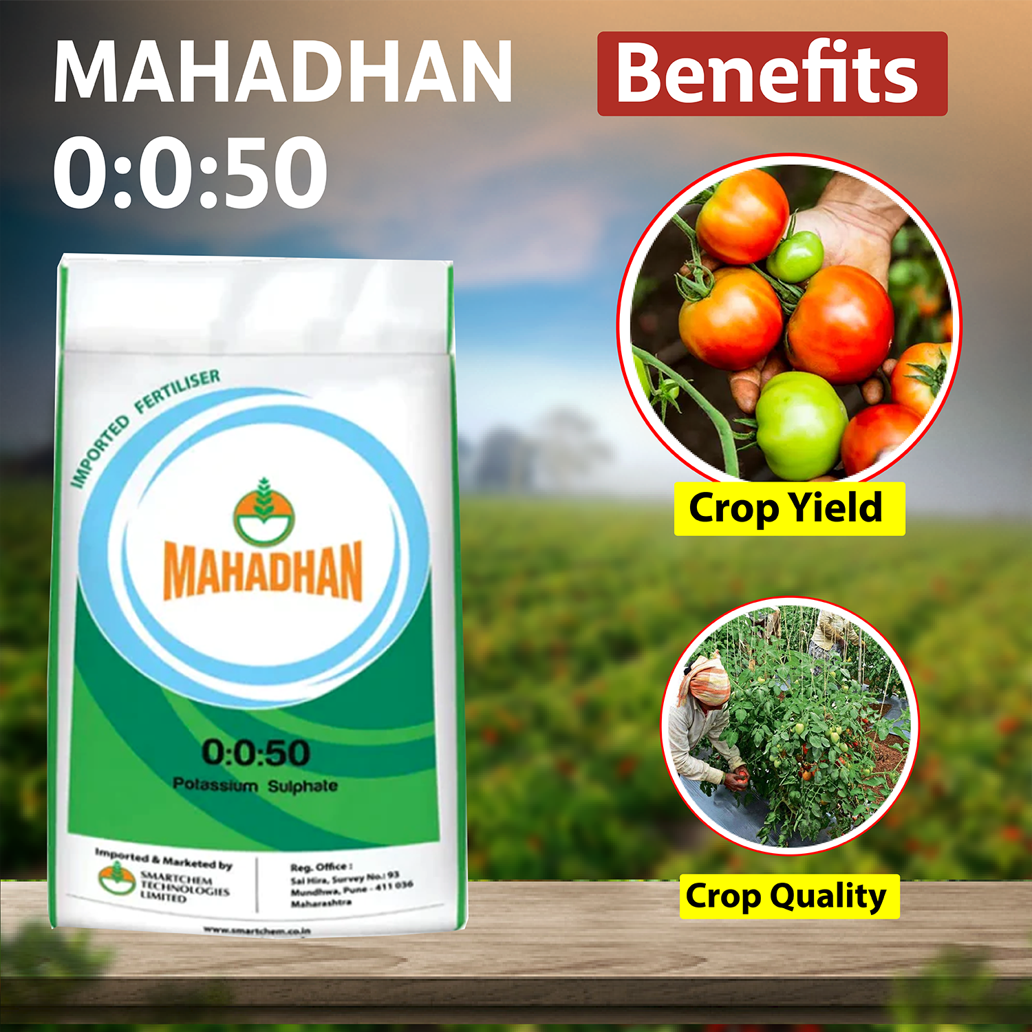 Mahadhan 0:0:50 SOP Fertilizer - 1 KG - Agriplex