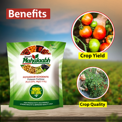 Potassium Schoenite Mahalabh Fertilizer - 1 KG - Agriplex