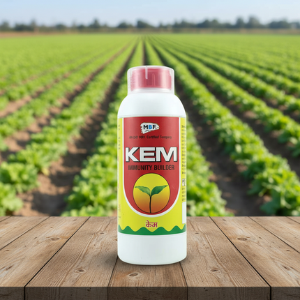 MBF Kem Insecticide
