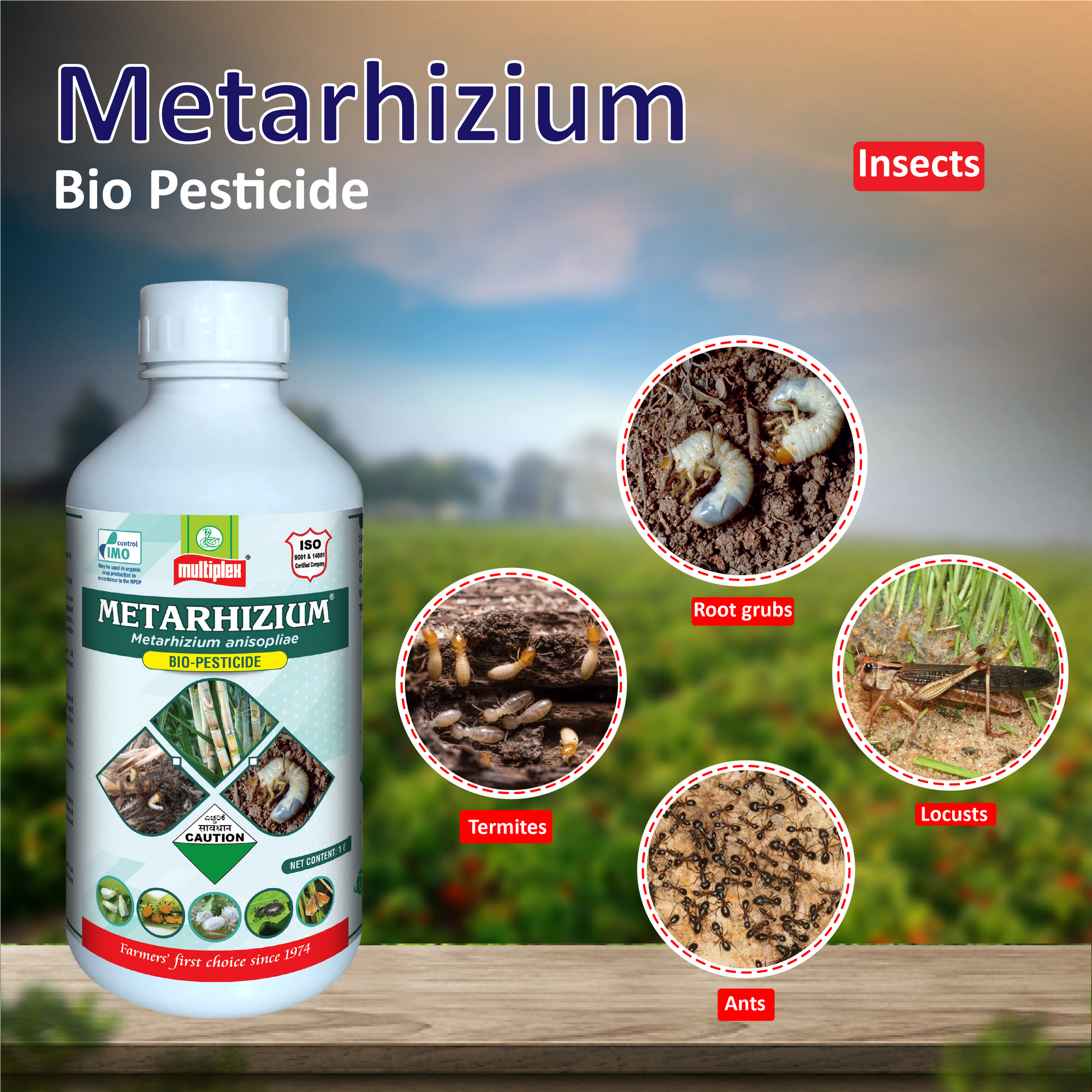 Multiplex Metarhizium Insecticide (Liquid)