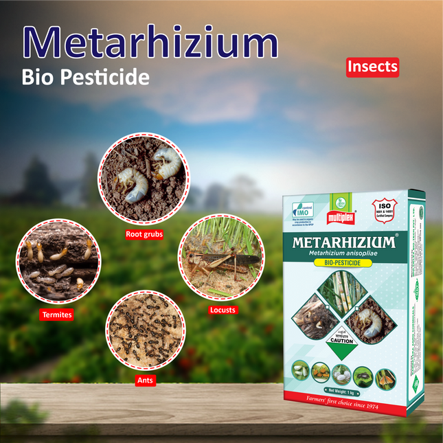 Multiplex Metarhizium (Powder) - 1 KG