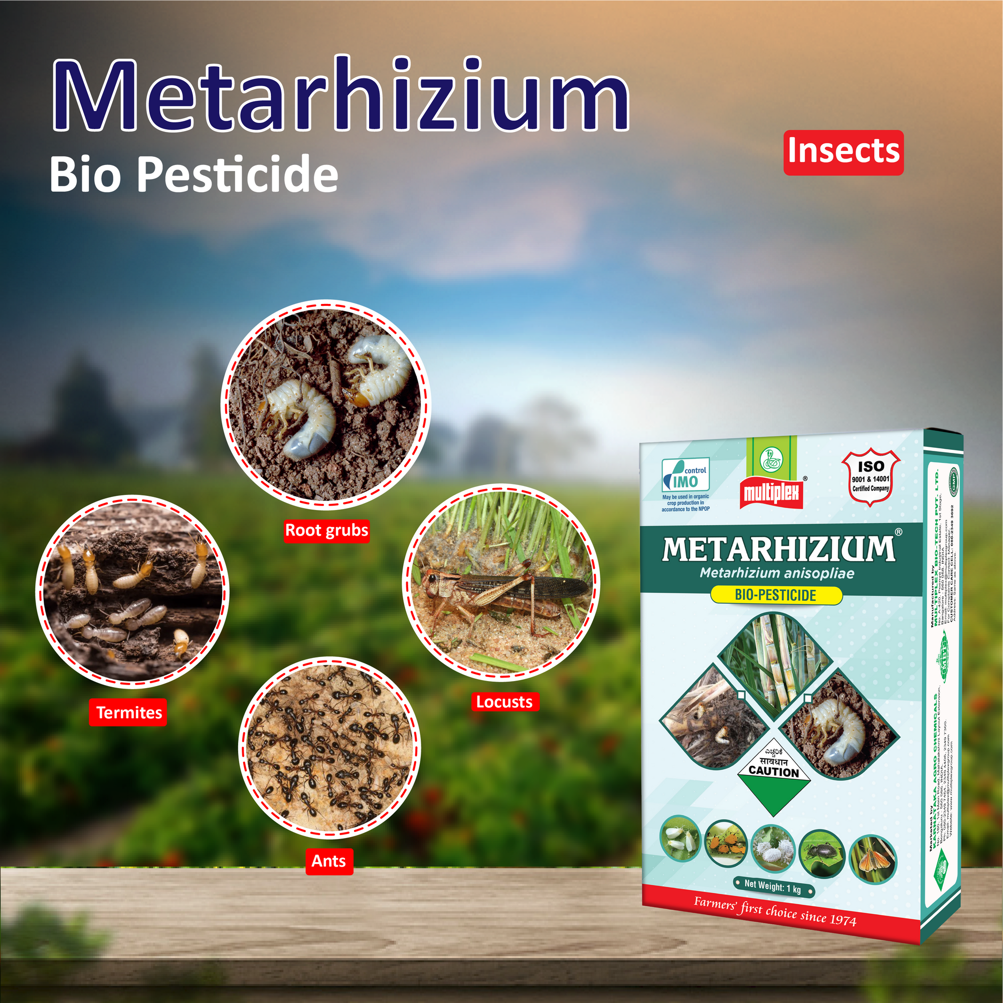 Multiplex Metarhizium (Powder) - 1 KG