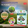 Multiplex Metarhizium (Powder) - 1 KG