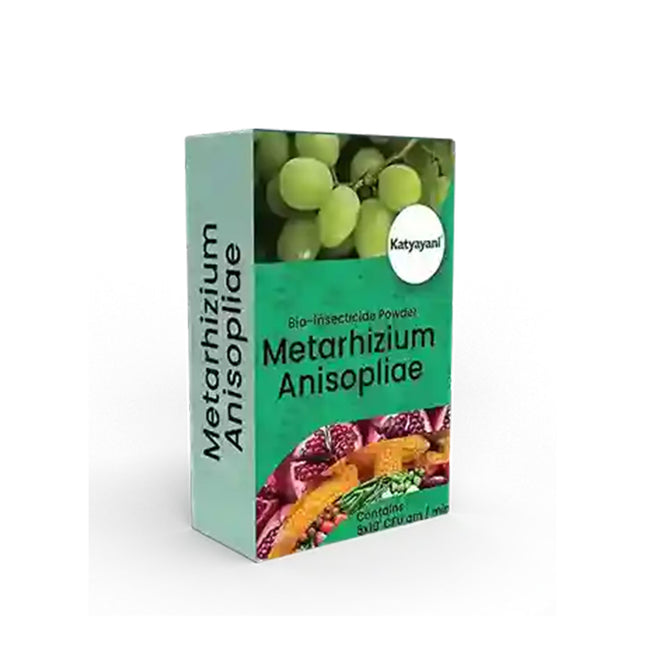 Katyayani Metarhizium Anisopliae | Powder Bio Insecticide