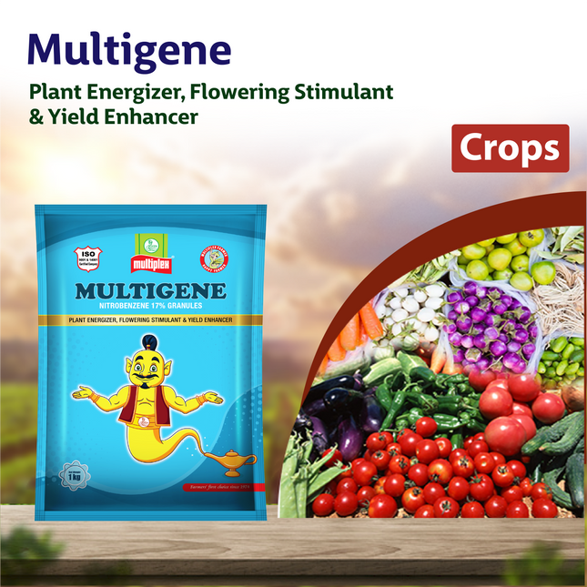 Multiplex Multigene Nitrobenzene PGR - 1 KG