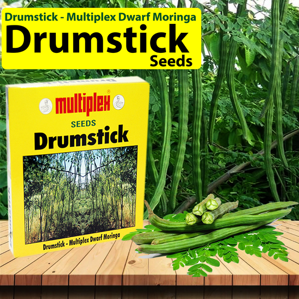 Multiplex Drumstick - Dwarf Moringa - 20 GM - Agriplex