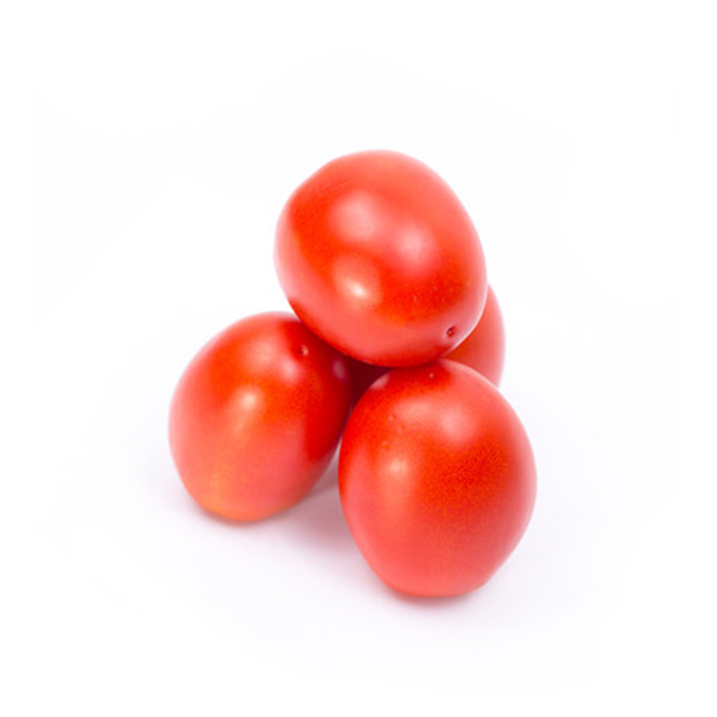 NOWARA RZ F1 TOMATO (OVAL TOMATO) - 1000 SEEDS