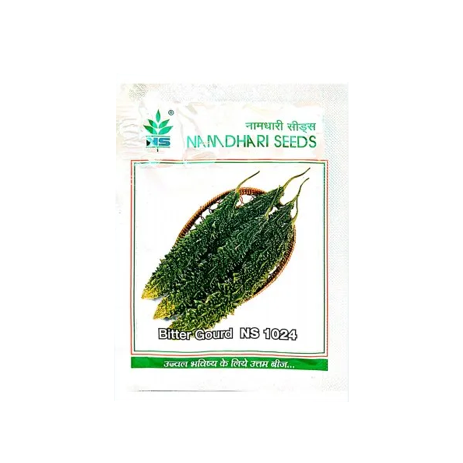 NS 1024 Bitter Gourd Seeds - Agriplex