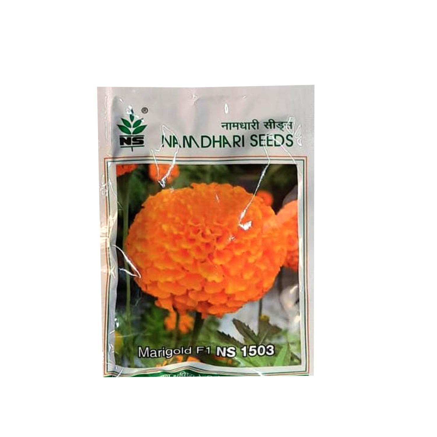 NS 1503 Marrigold Seeds - Agriplex