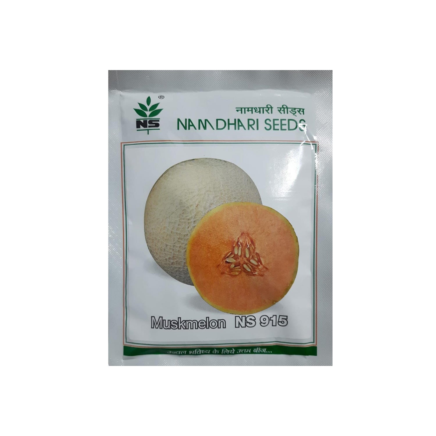 NS 915 Muskmelon Seeds - Agriplex