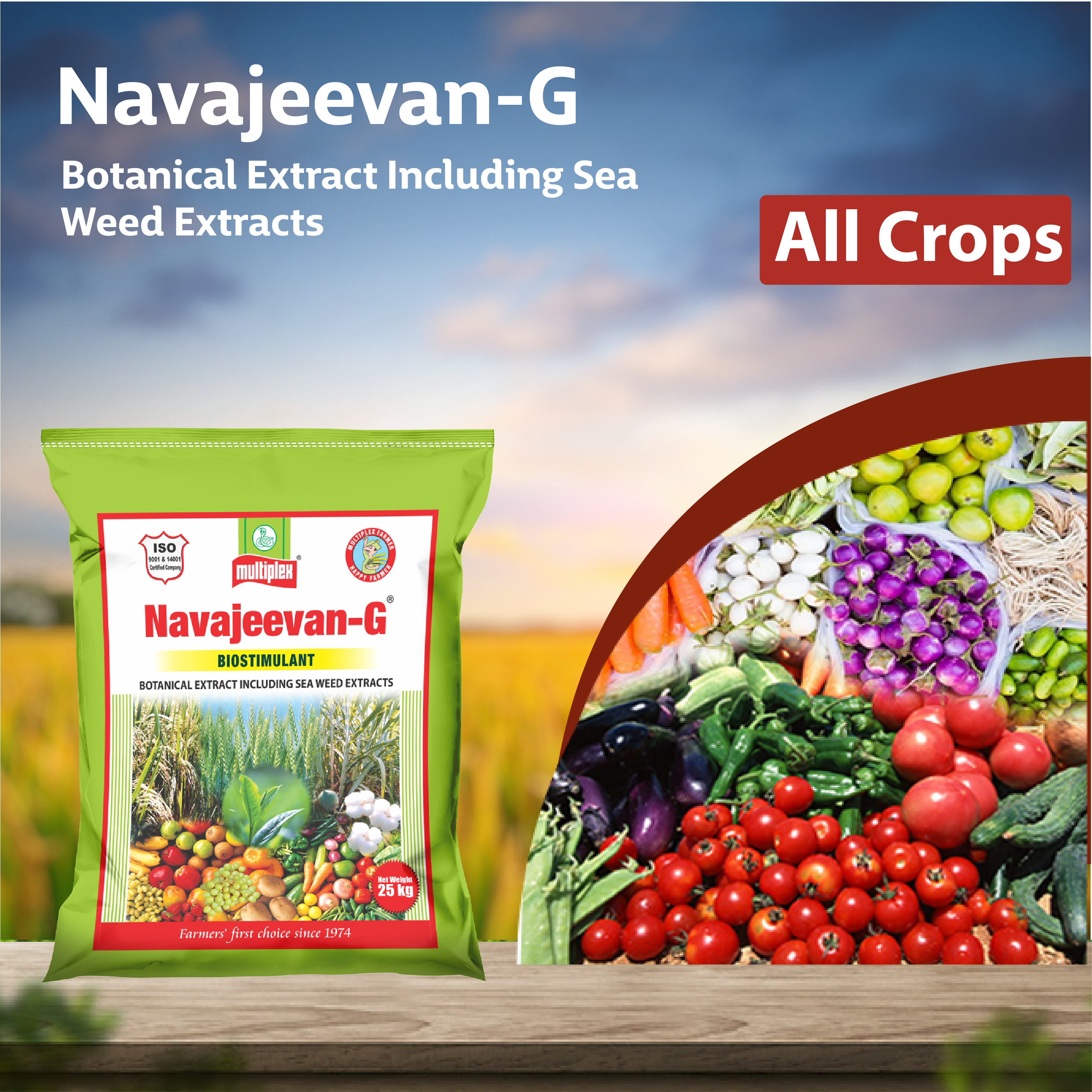 Navjeevan Compounded Multiplex Navajeevan G Biostimulent - 1 KG – Agriplex