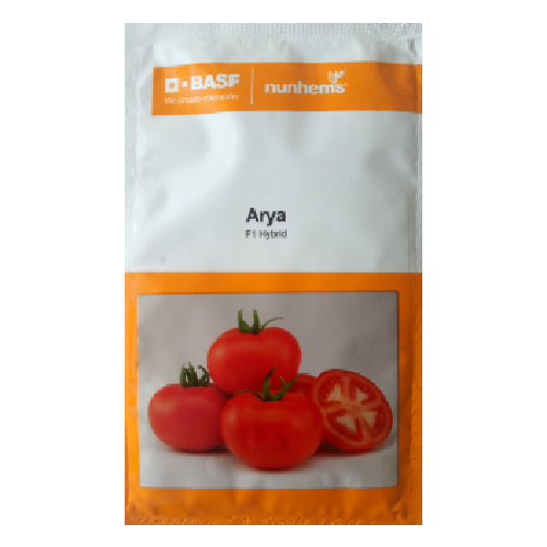 Nunhems Tomato Arya - 3000 SEEDS - Agriplex