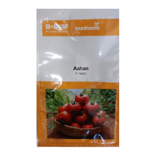 Nunhems Tomato Aahan - 3000 SEEDS - Agriplex