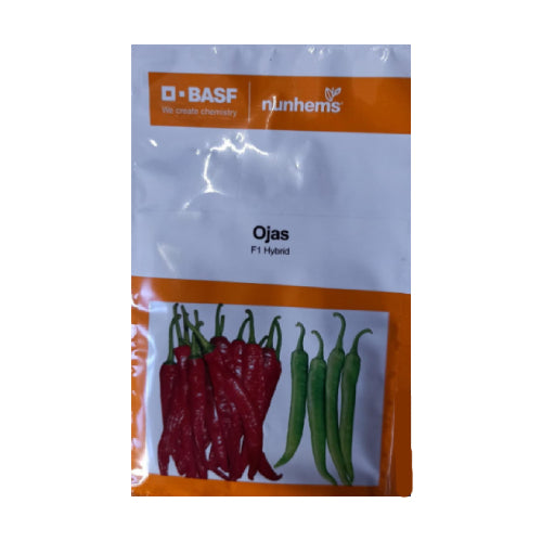 Nunhems Ojas F1 Hybrid Chilli - 1500SEEDS - Agriplex