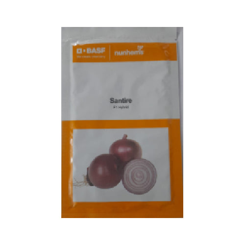 Nunhems Onion Santire - 20000SEEDS - Agriplex