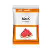 Nunhems Maxx F1 Hybrid Watermelon Seeds - Agriplex