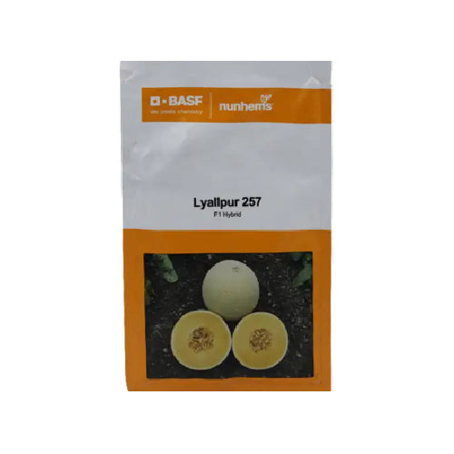 Nunhems Lyallpur 257 Muskmelon - Agriplex