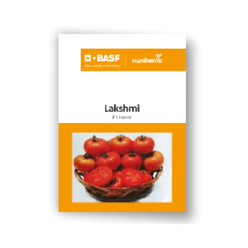 Nunhems Lakshmi F1 hybrid Tomato - 3000 SEEDS - Agriplex