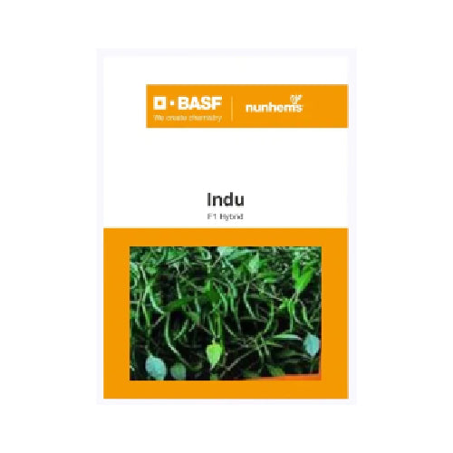Nunhems Indu Chilli - 1500SEEDS - Agriplex