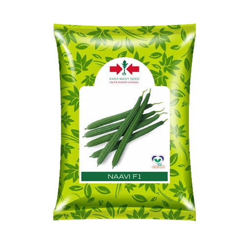 East West Naavi Ridge Gourd Seeds - 50 GM