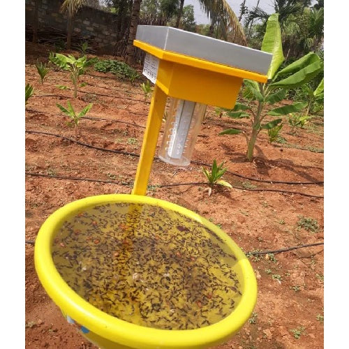 Solar Insect Trap - Agriplex