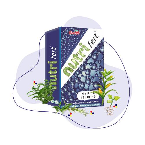 Geolife Nutrifert 19 : 19 : 19