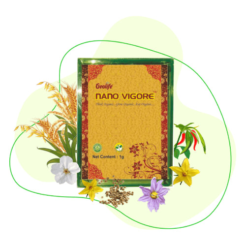 Geolife Nano Vigore - 1 GM