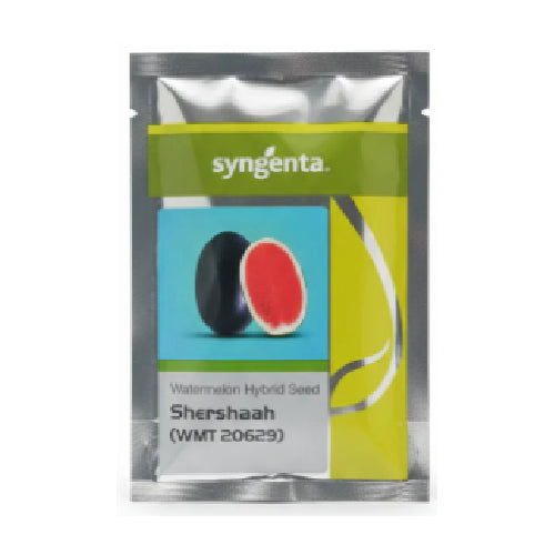 Syngenta Shershaah Watermelon - 1000 Seeds