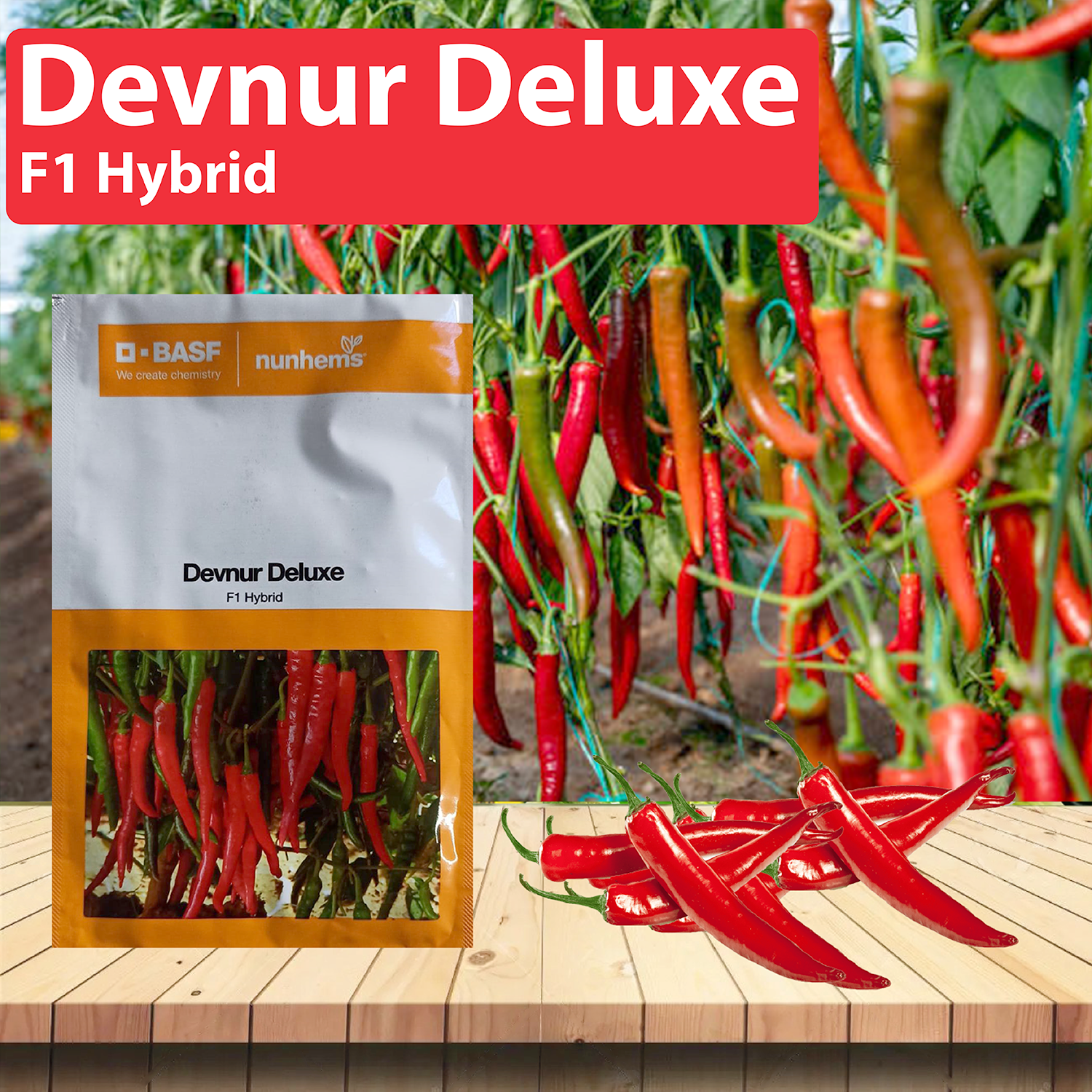 Nunhems Devnur Deluxe Chilli Seeds - Pack of 1500 Seeds - Agriplex