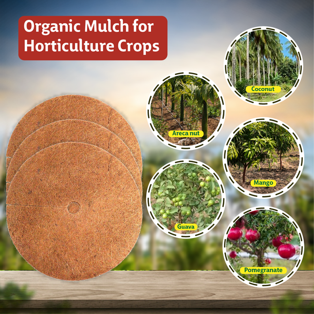 Organic Coir Mulch