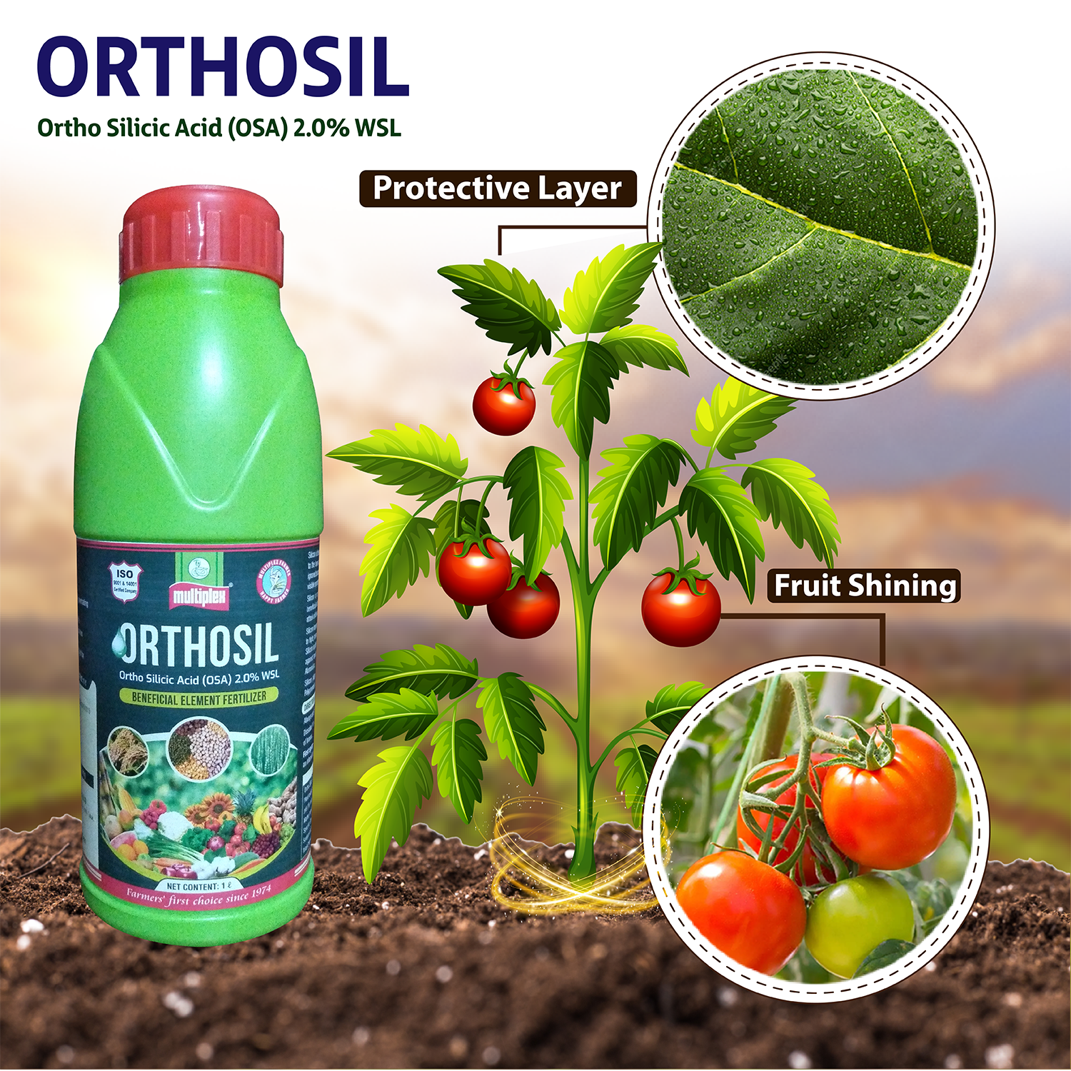Orthosil
