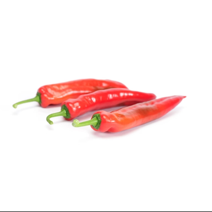 PALERMO RADIUS RZ F1 Sweet Pepper - 200 seeds