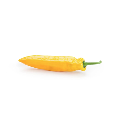 PALERMO YOSEMITE RZ F1 Sweet Pepper - 200 seeds