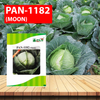 PAN 1182 Moon Cabbage (Green, Round) Seeds - 10 GM - Agriplex