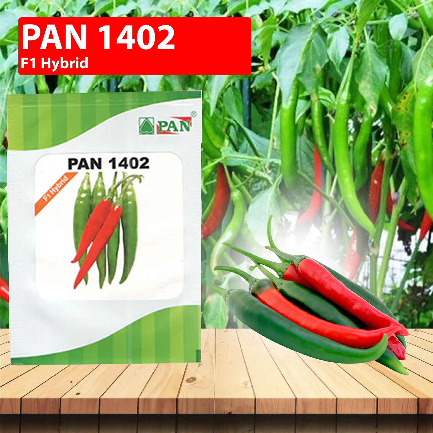 PAN 1402 F1 Hybrid Chilli Seeds - 10 GM - Agriplex