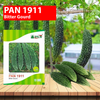PAN 1911 Hybrid Bitter Gourd (Dark Green) Seeds - 10 GM (Pack of 2) - Agriplex