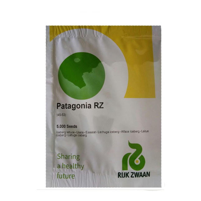PATAGONIA RZ (45-53) ICEBERG LETTUCE - 5000 SEEDS