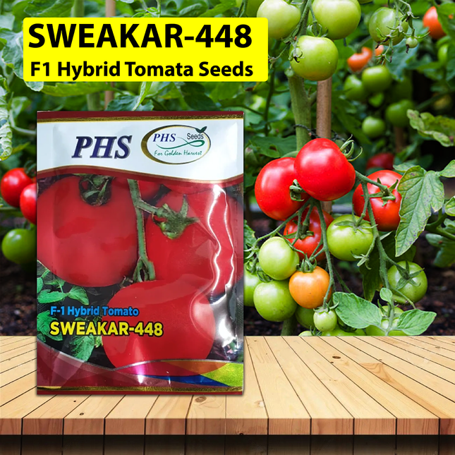 PHS Tomato 448 (50   GM)