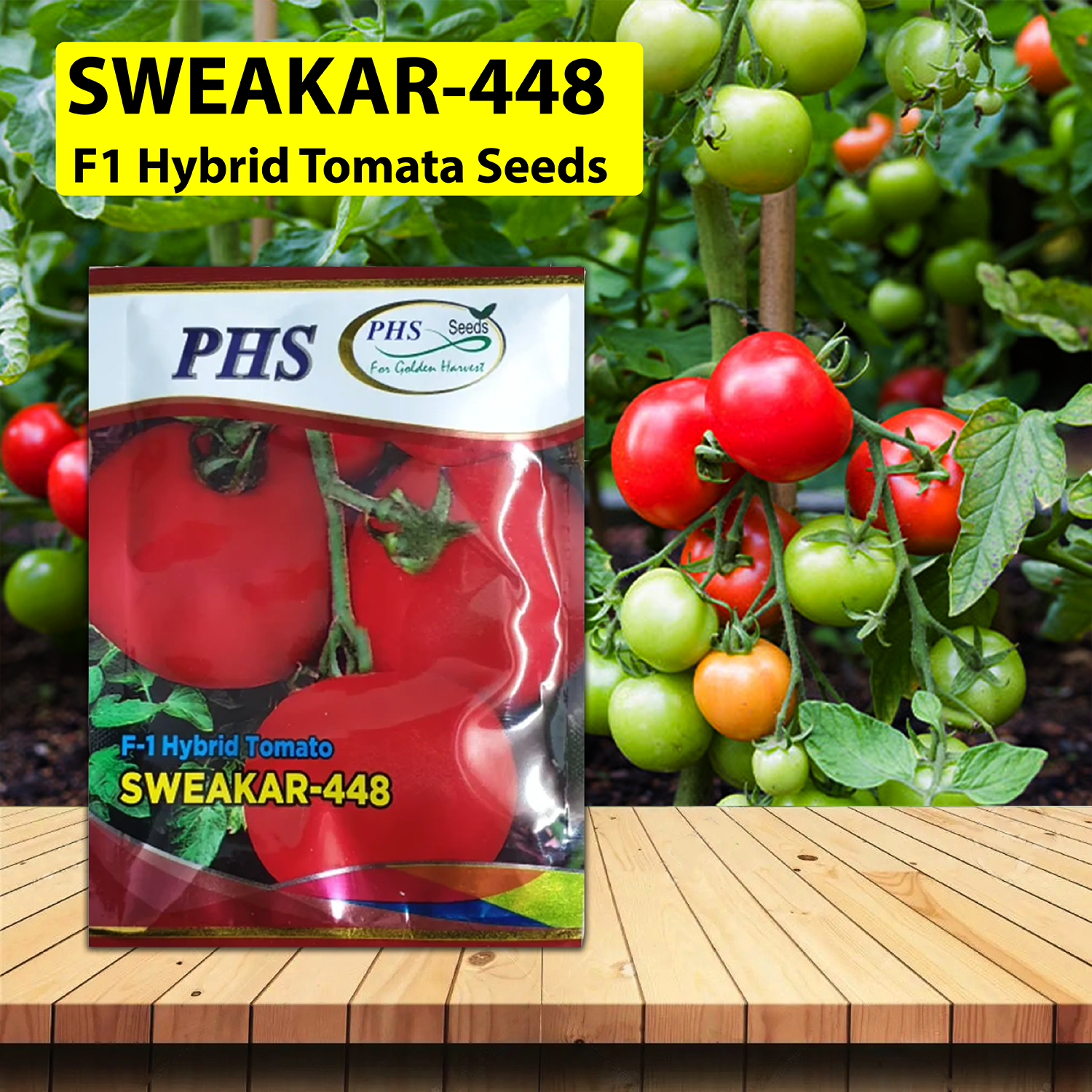 PHS Tomato 448 (50   GM)