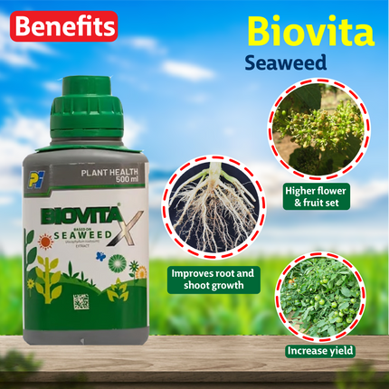 PI Biovita Seaweed PGR