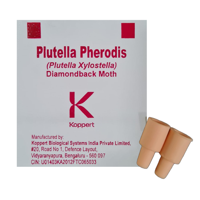Koppert Plutella PherodisKoppert Plutella Pherodis