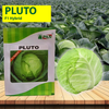 PAN Pluto Hybrid Cabbage Seeds (Dark Green, Round) - 10 GM - Agriplex