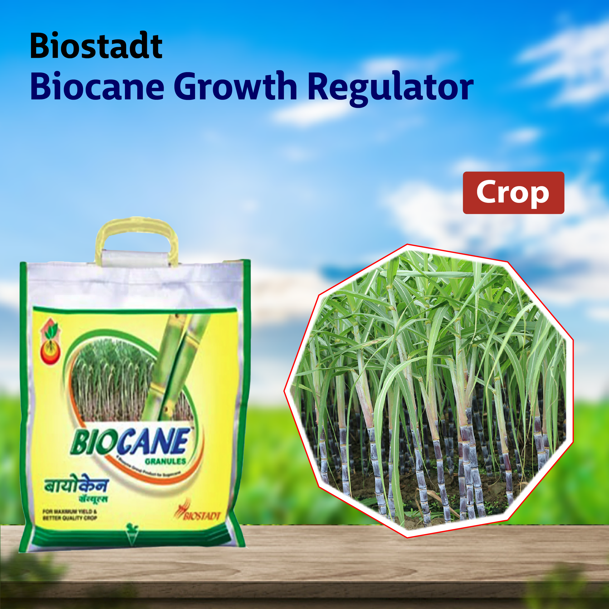 Biostadt Biocane Growth Regulator