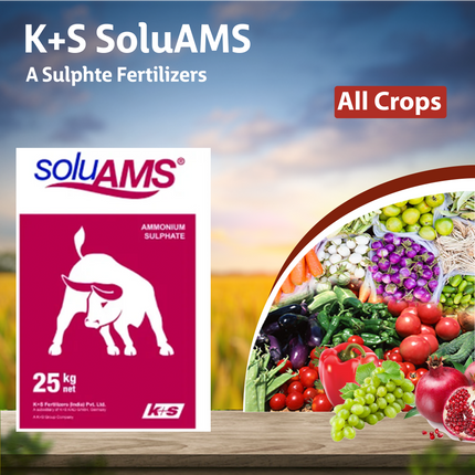 K+S SoluAMS A Sulphte Fertilizers - 1 KG