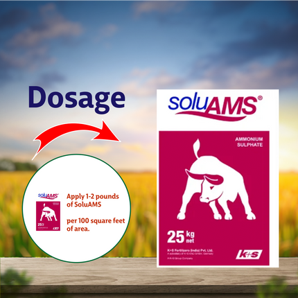 K+S SoluAMS A Sulphte Fertilizers - 1 KG