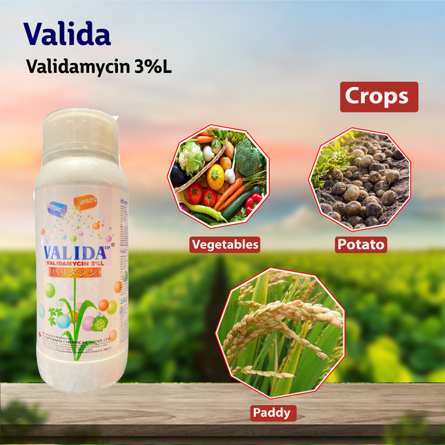Valida Growth Regulators - 500 ML